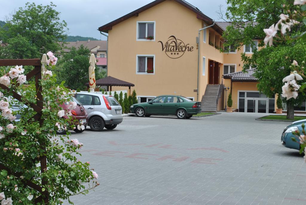 Vila Veche Haţeg Екстериор снимка