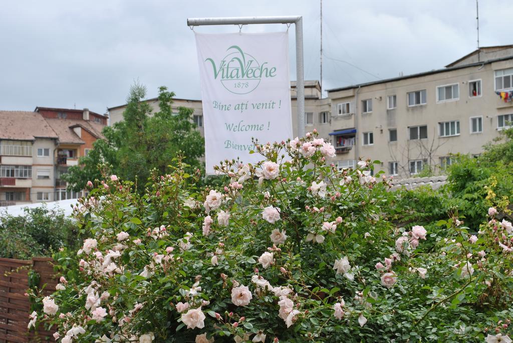 Vila Veche Haţeg Екстериор снимка