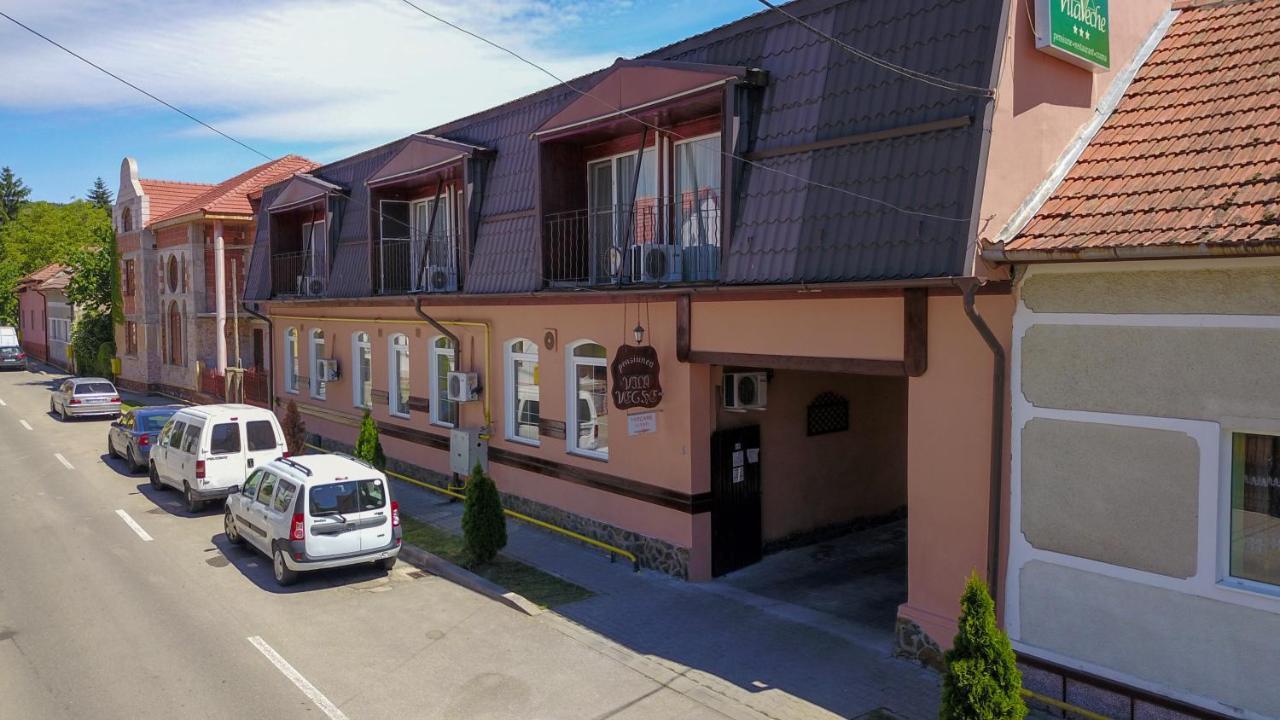 Vila Veche Haţeg Екстериор снимка